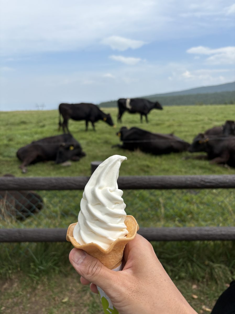 牛乳専科もうもうの濃厚な牛乳ソフトクリーム