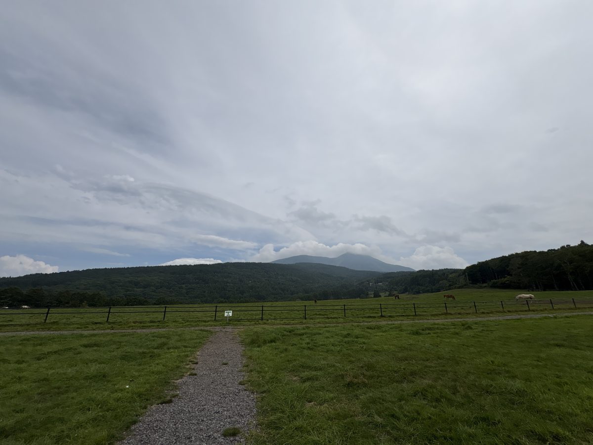 蓼科カントリーコースの遊歩道。馬を見ながら散歩できる。
